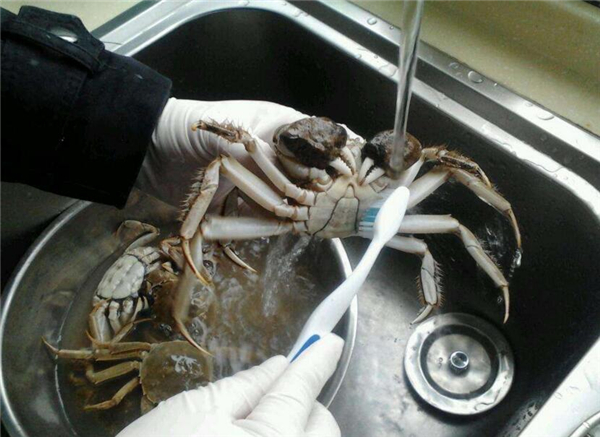 大闸蟹如何清洗,大闸蟹清洗前用酒泡出内渍