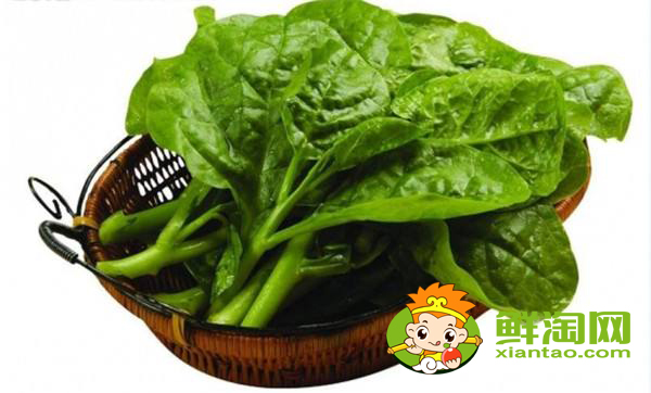 木耳菜开花了还能吃吗,木耳菜开花了还会长叶子吗