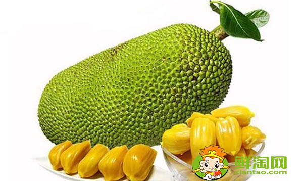 菠萝蜜怎么保存才不坏,菠萝蜜肉怎么保存