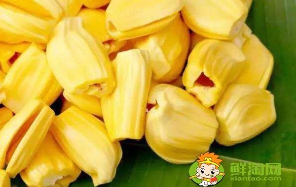 菠萝蜜怎么保存才不坏,菠萝蜜肉怎么保存