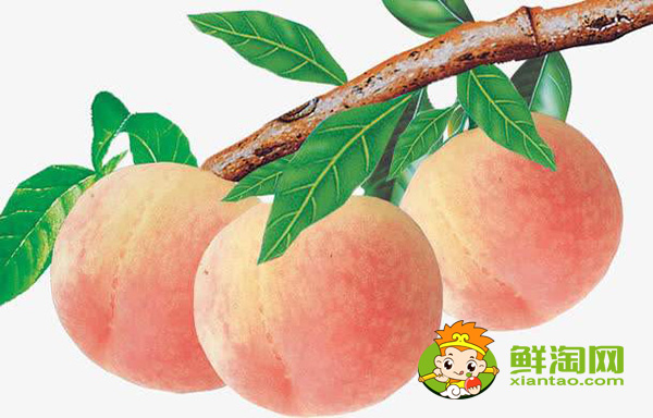 桃子产地主要在哪个省,桃子产地最多的地方是在哪里
