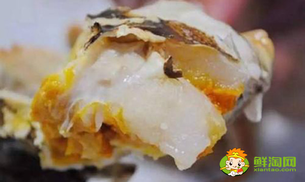 蟹膏长什么样子的图片,面包蟹的蟹膏蟹黄是什么